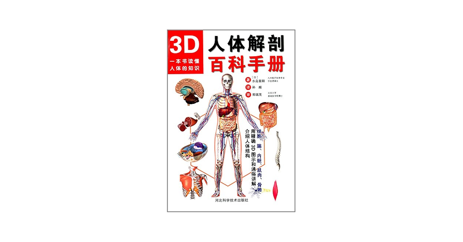 人体立体书 解剖探索身体运转奥秘(我们的身体高阶版)百科书 中文