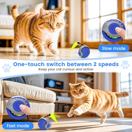 Jouet pour Chat, Jouet Balle Interactif pour Chat, Jouet Chats Intérieur, avec Queue Duveteuse, Balle Roulante Automatique pour Chats, Charg (Bleu-1pcs) – Image 3