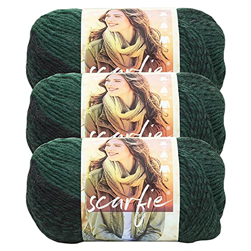 Image of (3 Pack) Lion Brand Yarn Scarfie Bulky Yarn, Forest /Black