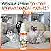2 Pack Cat Deterrent Spray, Natural Cat Deterrent Indoor & Outdoor, Effective Cat Scratch Deterrent for Furniture, Stop Cats from Urinating in House, Bitter Apple Spray for Cats, Anti-Scratch Training