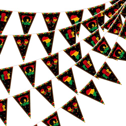 5 Pcs HESTYA Black History Month Pennant Banner, Premium Cardstock African American Heritage Month Triangle Flag Bunting, BHM Party Supplies Black History Wall Decor for School Office