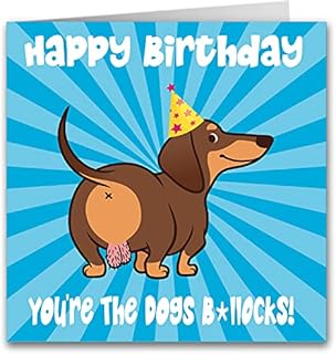 Cult Kitty - You're The Dogs B*llocks! - Rude Happy Birthday Cards For Him - Funny Birthday Card For Her - Funny Birthday Cards For Men - Funny Birthday Cards For Women -  Birthday Card Adult - Humour