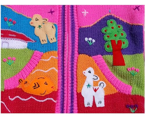 Image of Kids Sweater Handmade Cardigan with Embroidered Details Sweater Hooded Girl Boy Peru Ecuador Bolivia Chile Arpilleras Style.