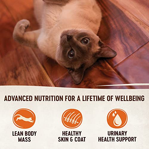 Wellness Core Natural Grain Free Wet Canned Cat Food, Indoor Recipe, 5.5-Ounce Can (Pack Of 24) #TOP2