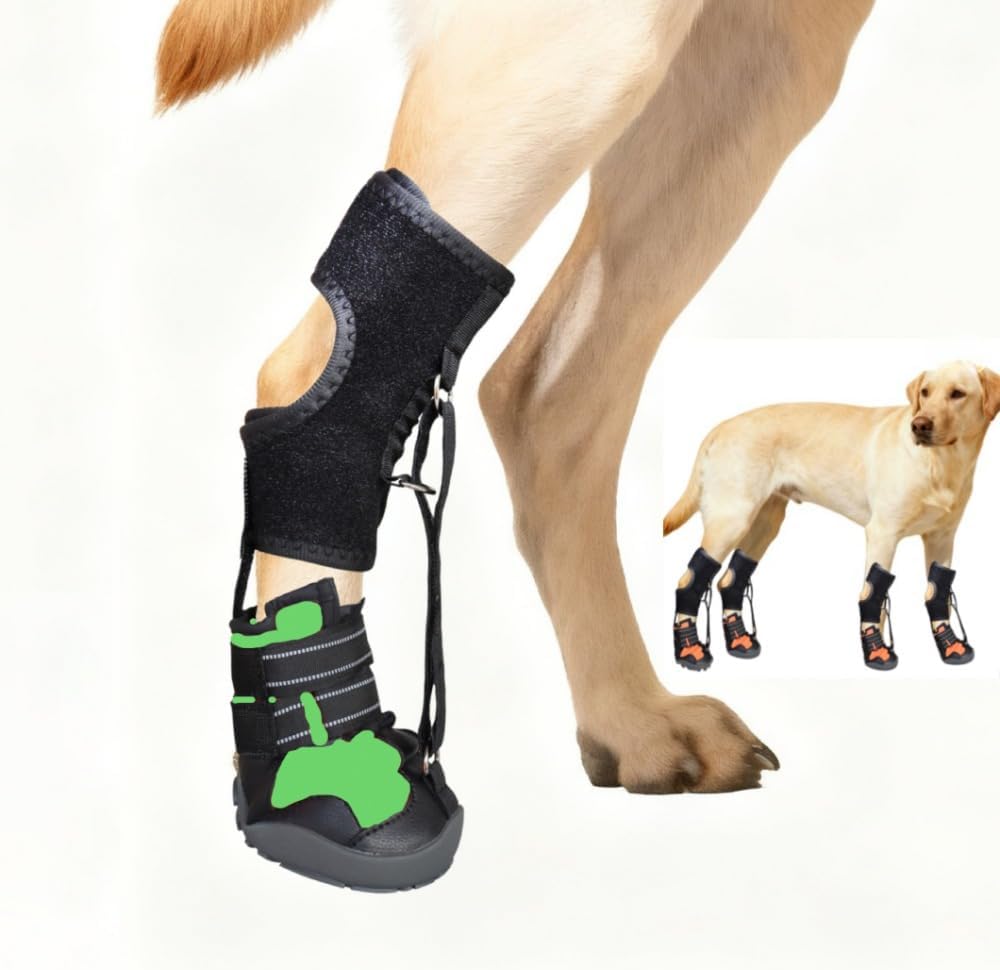 Dog Corrective Shoes Multi-Functional Dog Boots Anti-Slip Anti-Dirt with Adjustable Velcro to Protect Pet's Paws During Outdoor Walking (Orange, M)