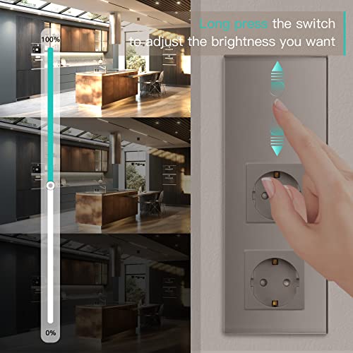 BSEED Dimmer Schalter mit Schuko Steckdose, Unterputz Dimmer Lichtschalter mit dimmer LED-Gl&uuml;hlampen, 2 Fach 1 Weg Glas Dimmer Lichtschalter mit Doppelt Wandsteckdosen Grau 228mm