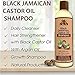OKAY Black Jamaican Castor Oil Shampoo - Jamaican Castor Shampoo for Hair Health, Natural Moisturizing Cleanser to Strengthen & Restore Damaged Hair for Women & Men - 12 fl oz (Pack of 1)