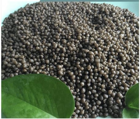 DAP (Di-Ammonium Phosphate) Fertilizer for home plants and Gardening Purpose/Water Soluble Plant Nutrient for All Types of Plants /(18:46:0) (1 Kg) (B0D4TXRB4M) Amazon Price History, Amazon Price Tracker