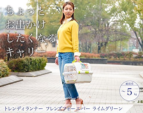 Caixa Transporte Friends Forever Nº1 Verde Friend Forever para Cães