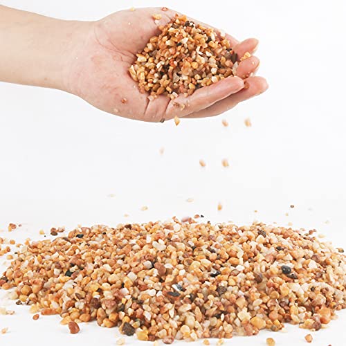 Image of 3lb Cactus Pea Gravel Rocks,1 /5 Inch Pebbles for Indoor Plants, Natural Succulent Rock and River Rocks Decorative for Aquariums, Vases, Terrarium, Outdoor Gardening, Top Dressing for Potted Plants
