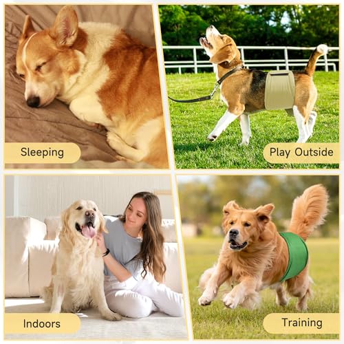 Image of 3 Pack Dog Diapers Male Reusable, High Absorbing Washable Dog Wraps, Male Dog Belly Band for Dogs with Incontinence or Frequent Urination(Large, White)