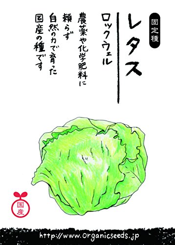 国産・自然農法(固定種)レタス ロックウェル