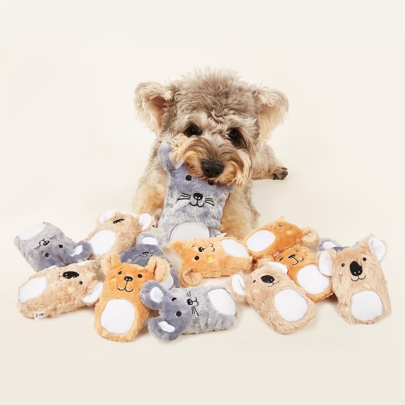 Image of BarkButler x FOFOS Puppy Plush Toys (Mix) - Soft & Squeaky Toys for Dogs, Small Dog Toys Set (0-10kgs) - Multicoloured