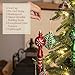 Valery Madelyn 50ct Classic Collection Splendor Shatterproof Christmas Ball Ornaments Decoration Red...