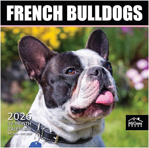 MICASA French Bulldogs 2026 Wall Calendar 12 Month | 12" x 24" Op...