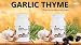 Forever Living Garlic-Thyme, 200 Softgels, Pack of 2 (Supports Free Radical Protection & Helps Convert Fat to Energy)