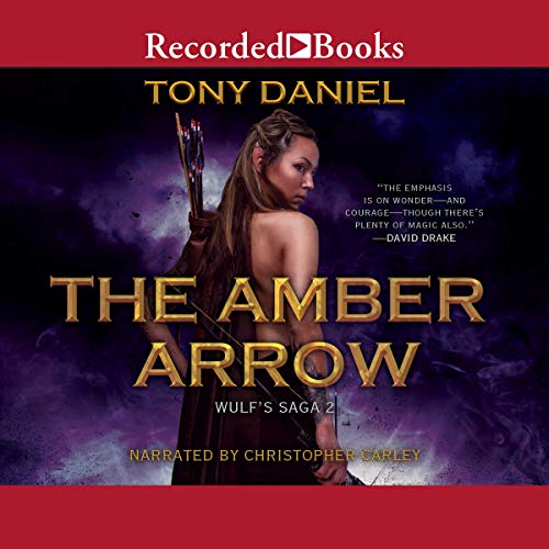  La freccia d\'ambra (La saga del Wulf)