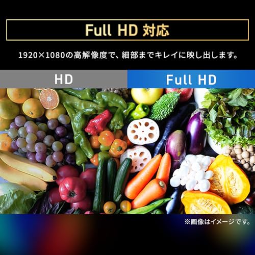 アイリスオーヤマ 液晶ディスプレイ DT-JF235S-B