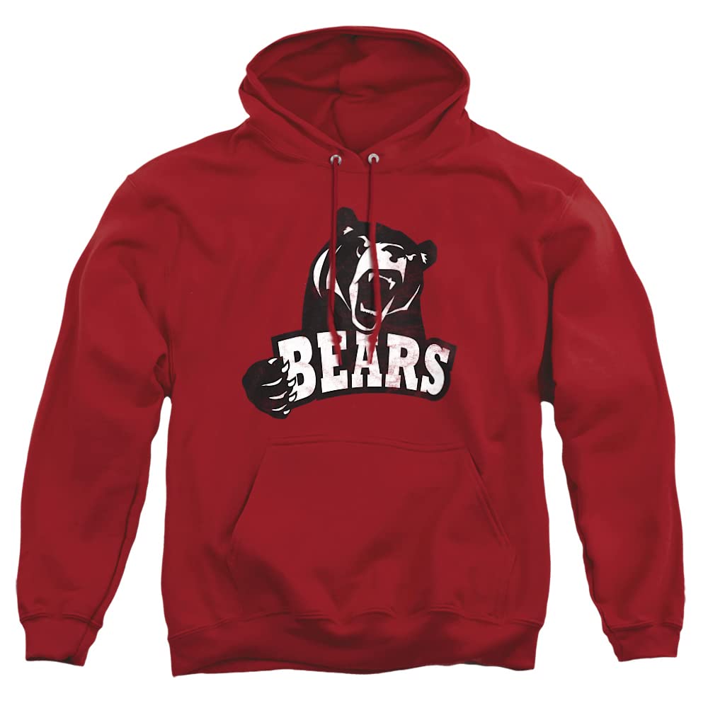 LOGOVISION Official Collegiate Distressed Primary Logo Adult Pullover Hoodie Collection — view 453