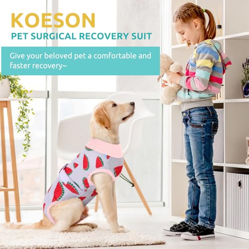 Image of KOESON Lightweight & Soft Surgery Recovery Suit for Large Dogs Female Male