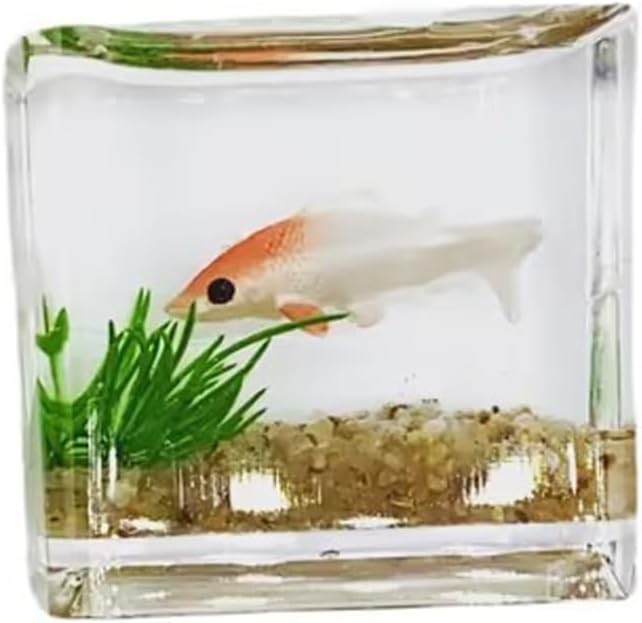 Abalorio de pez dorado blanco de un mini tanque con este accesorio en miniatura a escala 112, pecera cuadrada, decoración de cristal realista para
