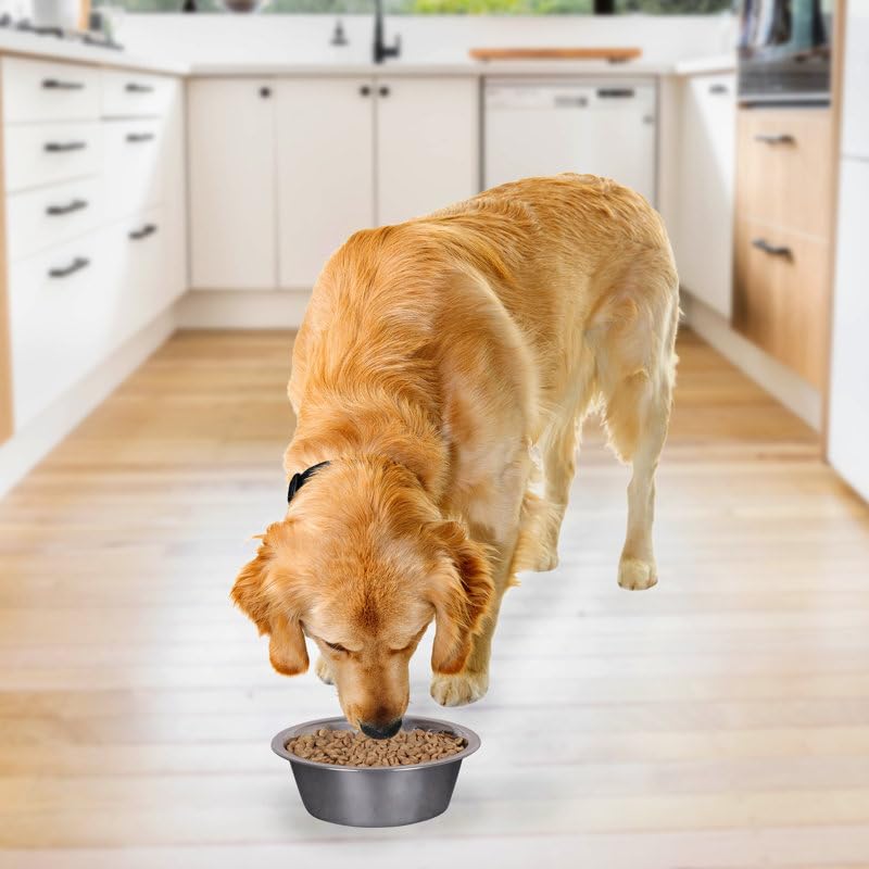 Sabri shopee Durable Stainless Steel Dog Bowl - Rust-Resistant Pet Feeding Dish (B0CVFRHKZW) Amazon Price History, Amazon Price Tracker