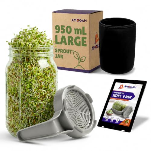 Image of Sprouts Maker Glass Jar - 950ml Large Sprouts Maker Jar for Home Use | BPA-Free Sprouting Jar with Drain Lid Handle | Reusable Glass Sprout Maker Jar for All Seeds and Beans(GREY)