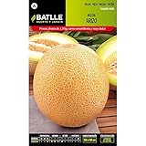 comprar semillas de melon piel de sapo CONFÍA EN NOSOTROS: Planeta Huerto es la empresa líder en el segmento de artículos para Huerto, cultivos y Jardin, a nuestros clientes un catálogo extenso de productos para el cultivo de hortalizas, frutas, cuidado de animales y mobiliario para el jardín entre otros. Todos nuestros productos están diseñados y fabricados siguiendo con los más exigentes controles de calidad. Utilizamos materiales de primera calidad.