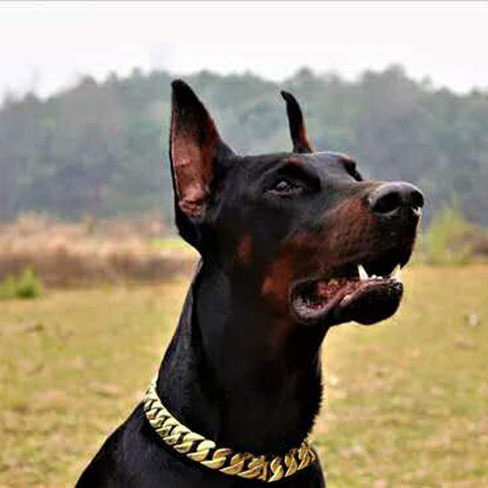 halsband menschen Tauhalsband & Leine 'Berlin' für Hunde aus Leder & Tau