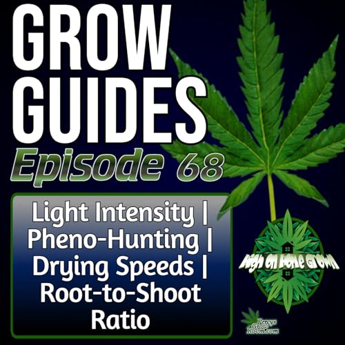 How Light Strength Shapes Plant Health, Easy Pheno-Hunting at Home, The Truth About Drying Speeds & Root-to-Shoot Balance Explained | Grow Guides Ep. 68