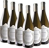 VINELLO