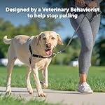PetSafe Easy Walk No-Pull Dog Harness - The Ultimate Harness to Help Stop Pulling - Take Control & Teach Better Leash Manners - Helps Prevent Pets Pulling on Walks, Large, Black/Silver 7