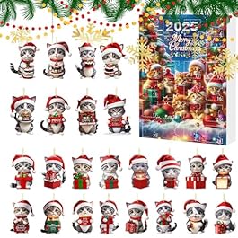 2025 Christmas Countdown...