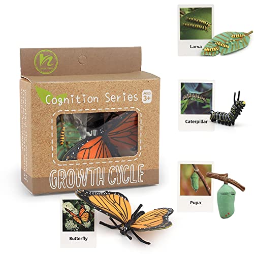 Montessori Life Cycle Animal Figures with Flash Cards, Realistic Animal Plant - Bild 67 von 71