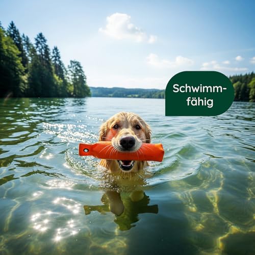 Romneys Hundetraining Dummy 500g - Robust & Schwimmfähig, Apportierprüfungen Zugelassen - Ideal für Wasserarbeit, aus Reißfestem Canvas (orange)