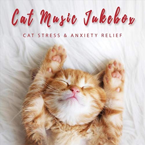 Play Cat Stress & Anxiety Relief by Cat Music Jukebox on Amazon Music