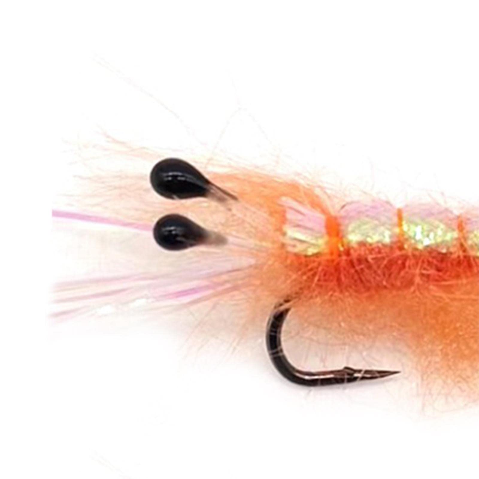 RNXRZANK Crayfish Nymph Fly for Fishing with Squid Hooks, 6