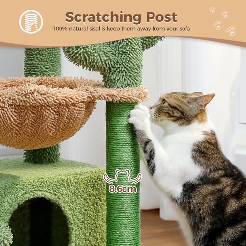 PAWZ Road Cactus Cat Tree for Indoor Cats with Super Large Condo, Cat Tower with Scratching Post, Large Hammock, Dangling Ball and Top Perch, 79cm Green - Image 3