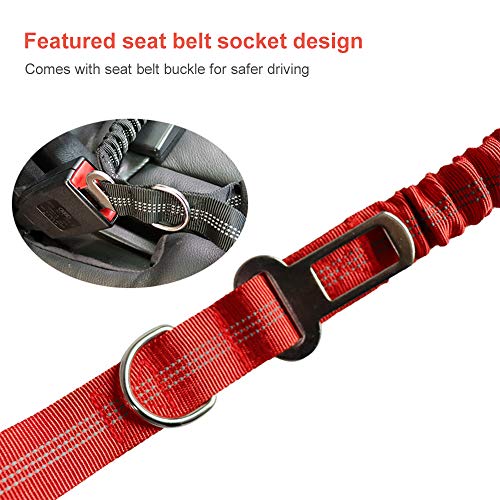 Nishore Trela ​​de cão Trela ​​de treinamento de cão com alça acolchoada confortável para cães peque