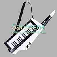 KORG RK-100S シンセサイザー けいおん！スペシャル　琴吹紬（ムギ） K-ON | RK-100S - KEYTAR | KORG (Japan)