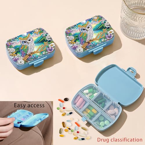 Image of ARTopet Diamond Art Painting Mini Storage Box with 6-Grid Creative Design Compact Portable Small Case for Purse Travel Daily-Owl