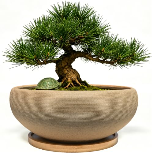 MUZHI 8 inch Round Unglazed Ceramic Bonsai Pot with Bamboo Tray Shallow Plain Pottery Succulent Planter with Drainage Hole (8)