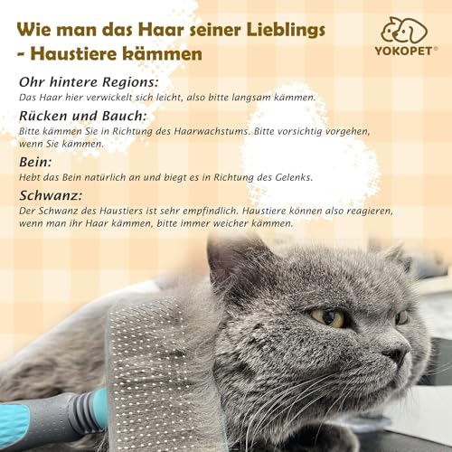 YOKOPET Hundebürste Katzenbürste, Haustier Bürsten Unterwolle, Selbstreinigende Zupfbürste für Langhaar und Kurzhaar, Sauberes Haustierhaar von der Bürste mit Einem Knopf