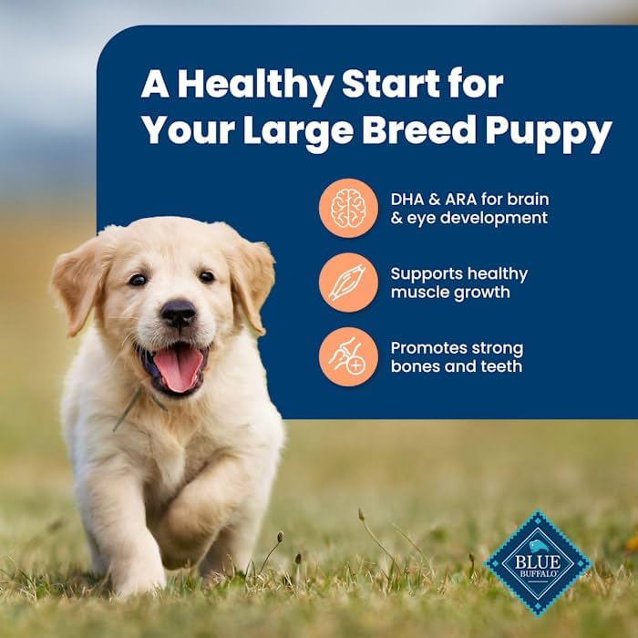 Blue Buffalo Life Protection Formula Chicken & Rice Large Breed Dry Puppy Food, 24 lbs.