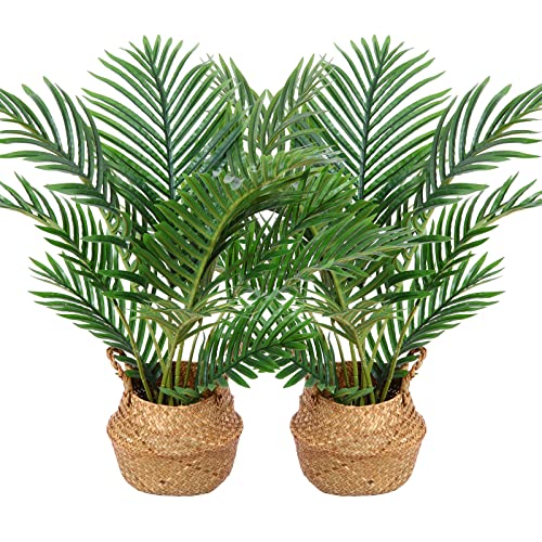 Kazeila Kunstpflanzen Groß 60cm Künstliche Palme Pflanzen Fake Pflanzen Plastik Kunstpalme Pflanze Deko für Home Wohnzimmer Schlafzimmer(2PACK)