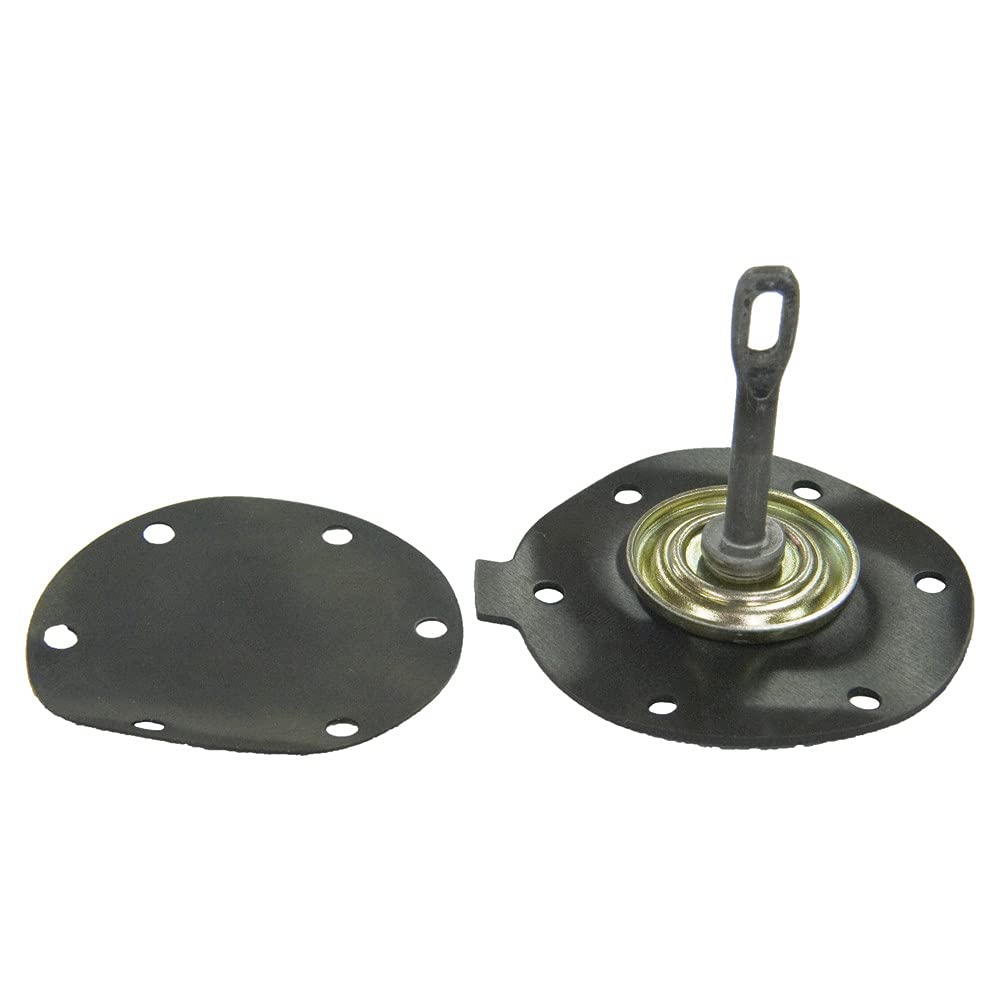 Amazon.com: Sierra International 18-3499 Diaphragm kit , white