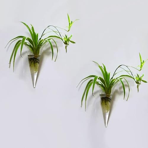Miniatura 2 de Florero de cristal para colgar en la pared, jarrón de vidrio en forma de cono, maceta suculenta, terrario de vidrio, jarrón de flores, estaciones de
