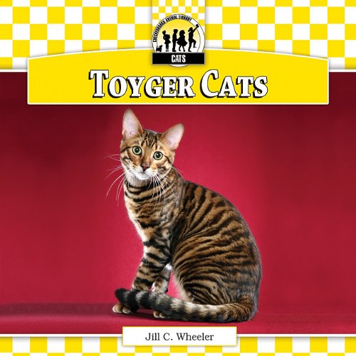  Toyger Cats