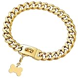 Gold Dog Chain...image