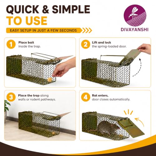 Image of Divayanshi Heavy-Duty Rat Trap - Reusable Humane Rodent Catcher for Mice & Rats, Strong Spring Mechanism, Easy to Set & Clean, Indoor & Outdoor Use (9 inch)